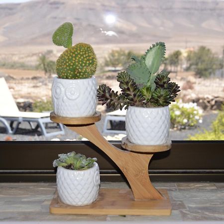 Casa Vista Oasis En Fuerteventura Villa La Guirra Dış mekan fotoğraf
