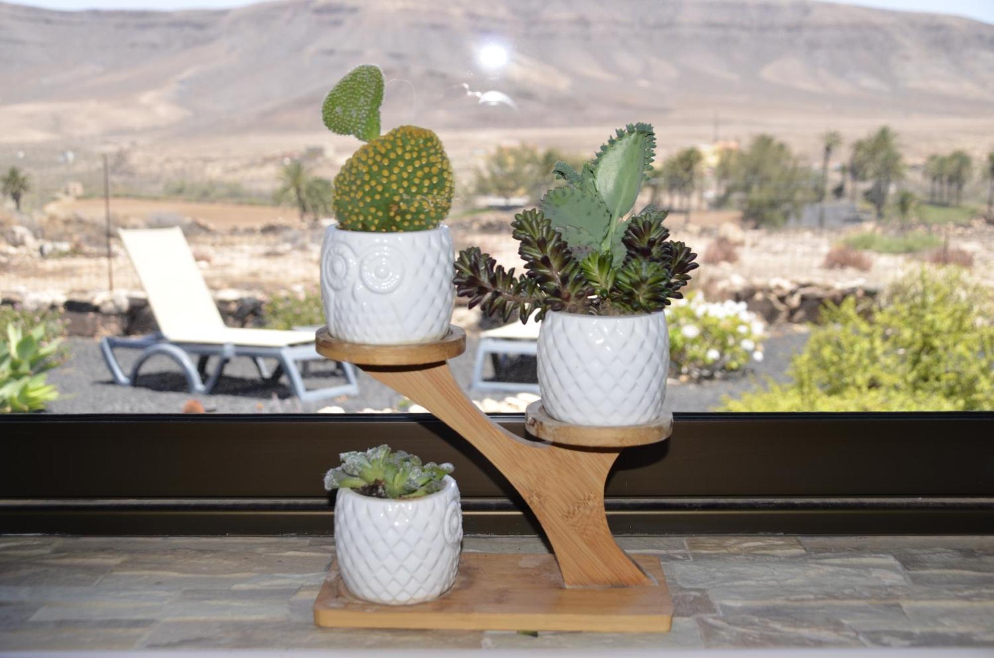 Casa Vista Oasis En Fuerteventura Villa La Guirra Dış mekan fotoğraf